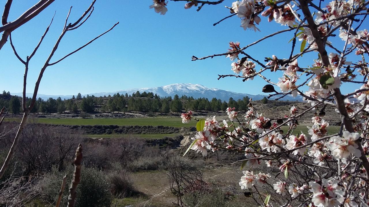 Cueva Las Yeseras Baza Buitenkant foto